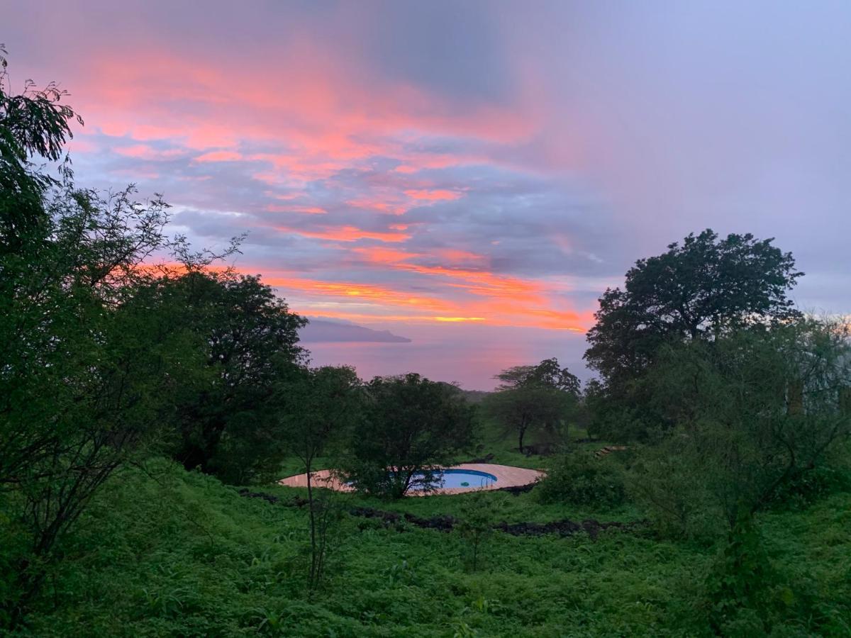 La Fora Ecolodge ساو فيليبي المظهر الخارجي الصورة
