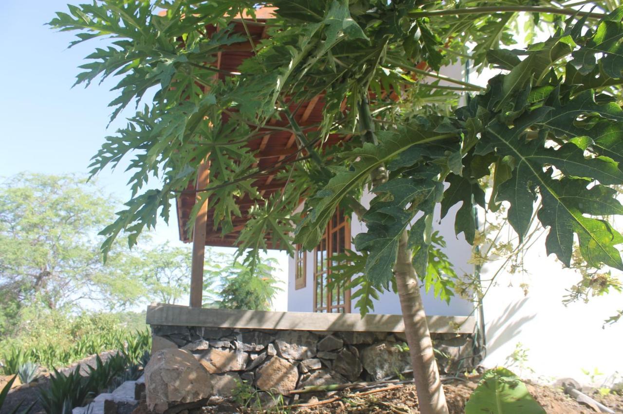 La Fora Ecolodge ساو فيليبي المظهر الخارجي الصورة