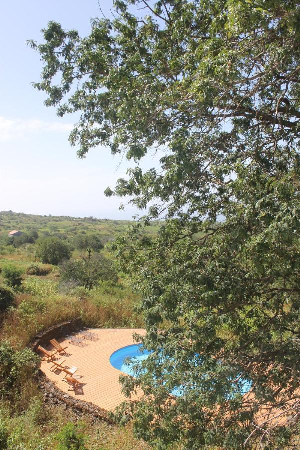 La Fora Ecolodge ساو فيليبي المظهر الخارجي الصورة